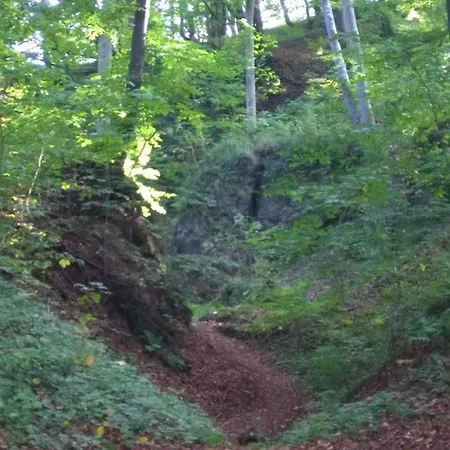 Kyllhof Angelsen Апартаменты Birresborn