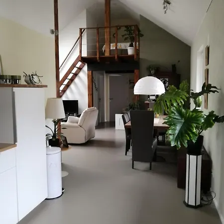 Kyllhof Angelsen Апартаменты Birresborn