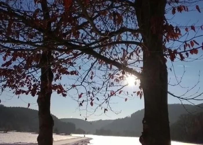 Kyllhof Angelsen * Birresborn